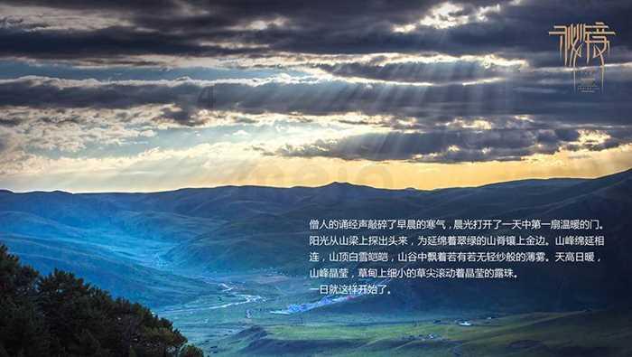 拯救落难小鸟